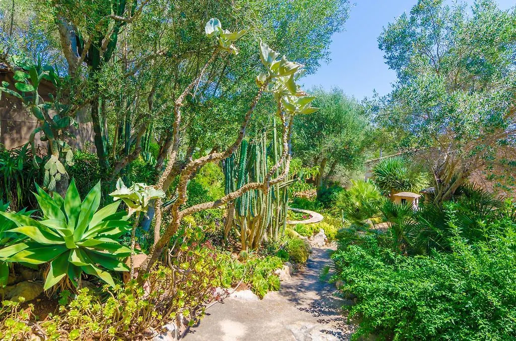 Cas Conco Villa S'Horta Spain